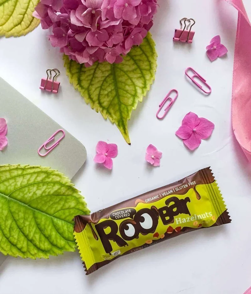 BIO Chocolate Covered Hazelnut Bar
