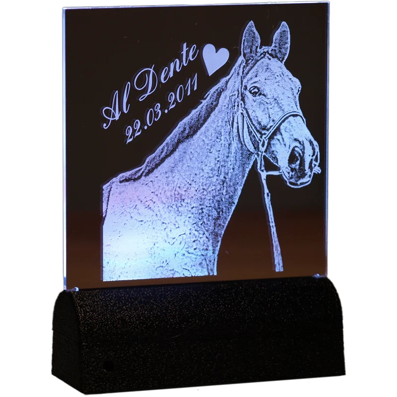 Acrylglas Rechteck Haustier 160 × 162 mm mit LED-Beleuchtung, Text- und Fotogravur