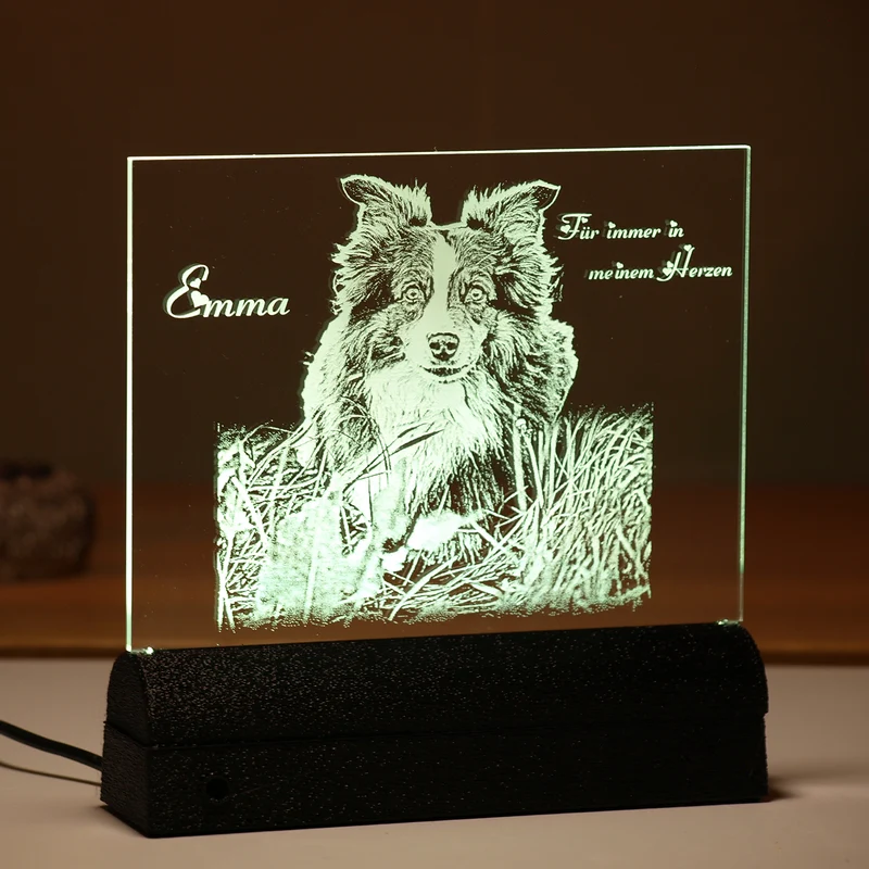 Acrylglas Rechteck Haustier 160 × 162 mm mit LED-Beleuchtung, Text- und Fotogravur