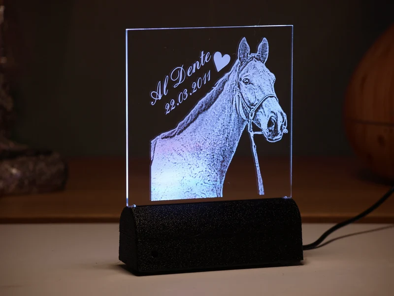 Acrylglas Rechteck Haustier 160 × 162 mm mit LED-Beleuchtung, Text- und Fotogravur