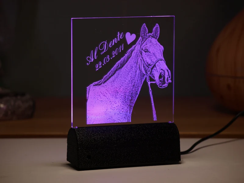 Acrylglas Rechteck Haustier 160 × 162 mm mit LED-Beleuchtung, Text- und Fotogravur