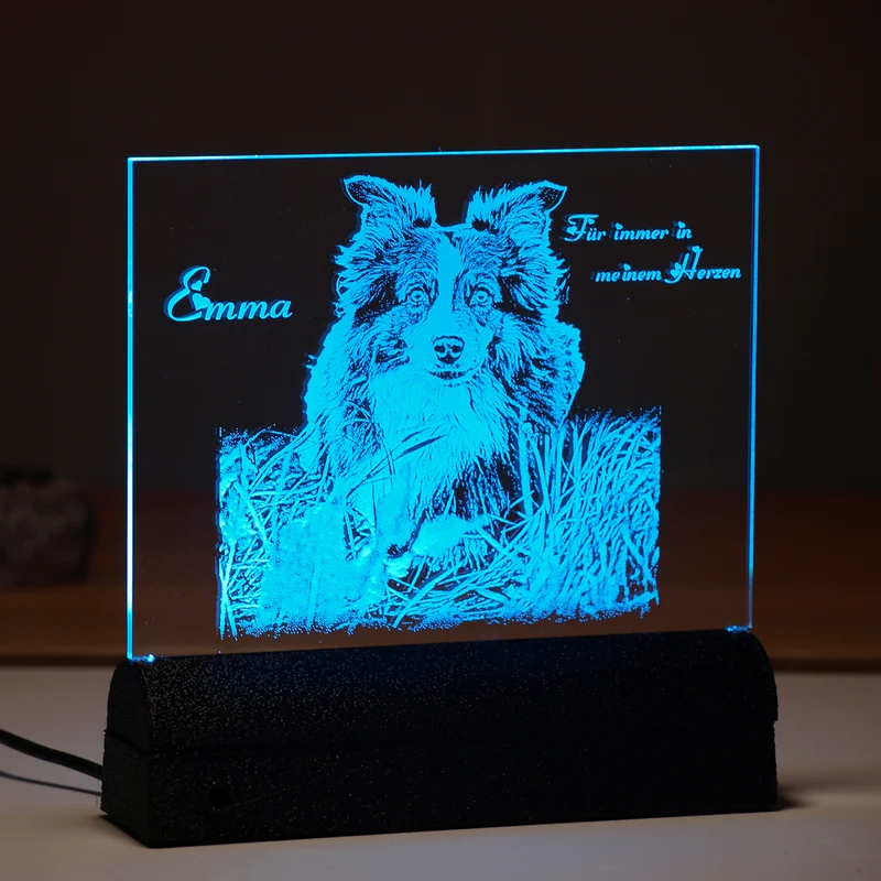 Acrylglas Rechteck Haustier 160 × 162 mm mit LED-Beleuchtung, Text- und Fotogravur