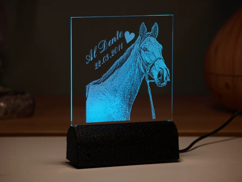Acrylglas Rechteck Haustier 160 × 162 mm mit LED-Beleuchtung, Text- und Fotogravur