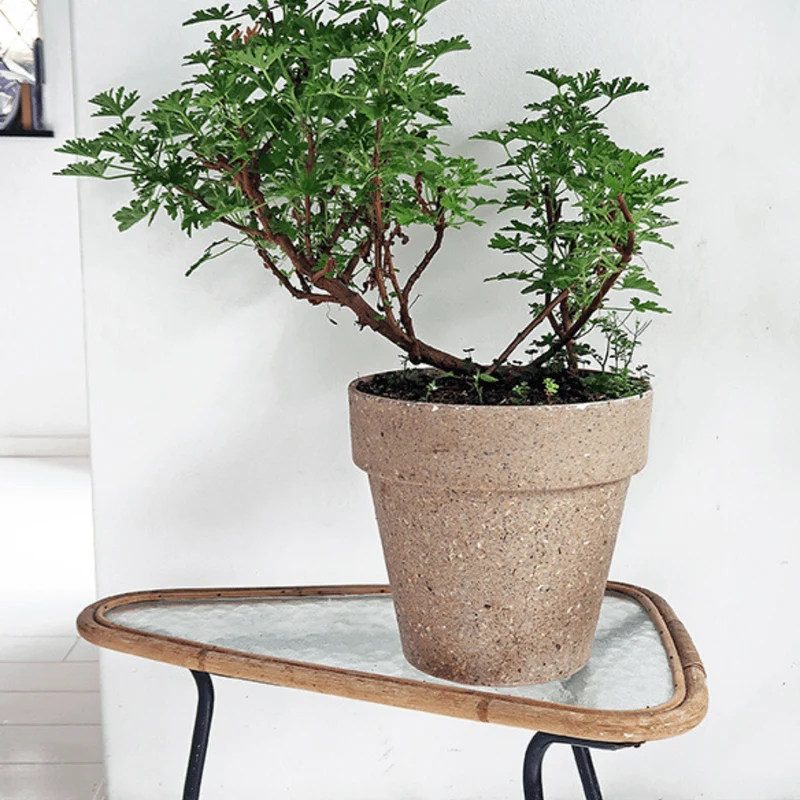 großer Übertopf - 30cm