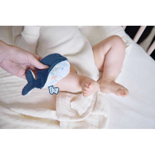 Baby-Kühlakku - Wal