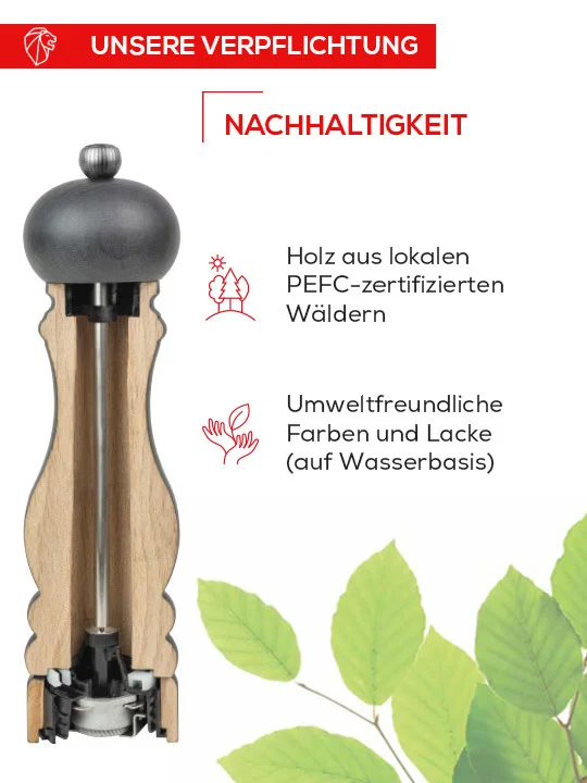 Salzmühle 27cm schoko Paris