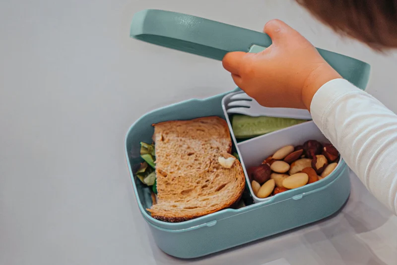 Campus Brotdose Stitch mit Bento-Einsatz und Gabel