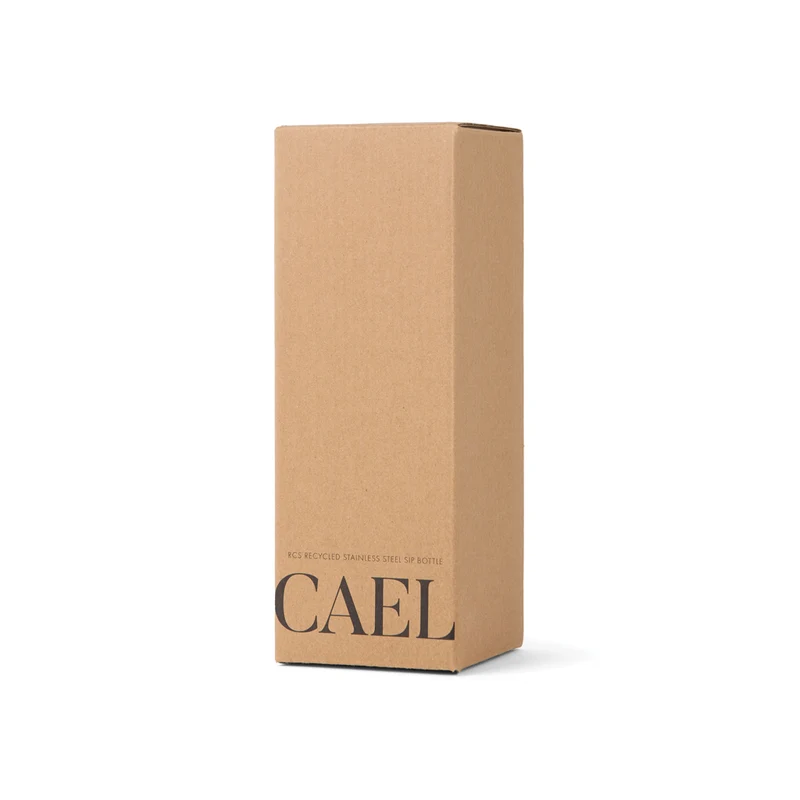 VINGA Cael RCS Stainless-Steel Trinkflasche 600ml