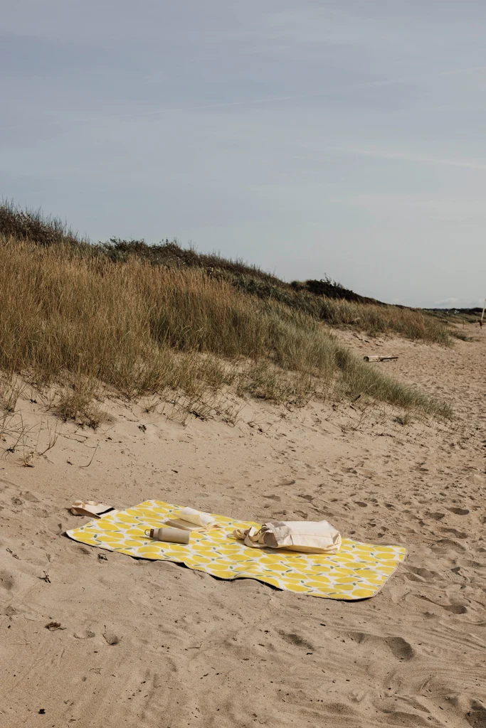 VINGA Arwe GRS Picknick-Decke