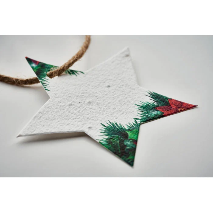 Starseed Weihnachtsschmuck Samenpapier