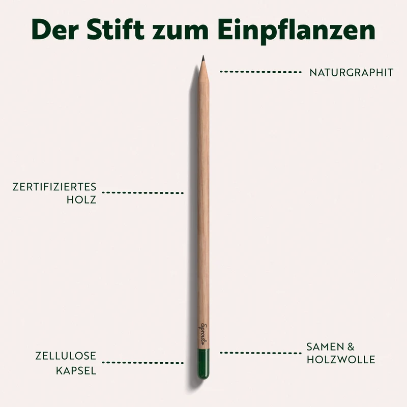 Sprout 1er Bleistift mit Samen in Einsteckhülle (Standardmotiv)